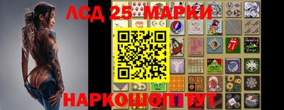 прущие крисы Кимры