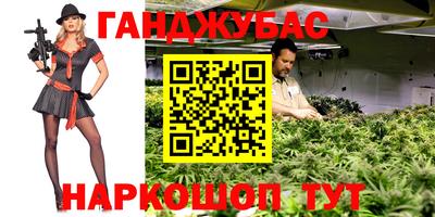 прущие крисы Кимры