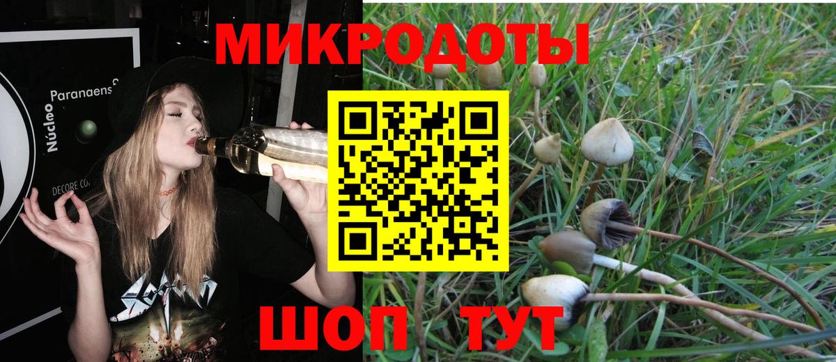 Галлюциногенные грибы Cubensis Будённовск