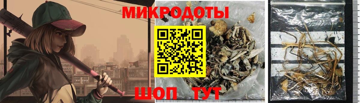Будённовск  даркнет сайт  Вход с VPN  Галлюциногенные грибы мухоморы 